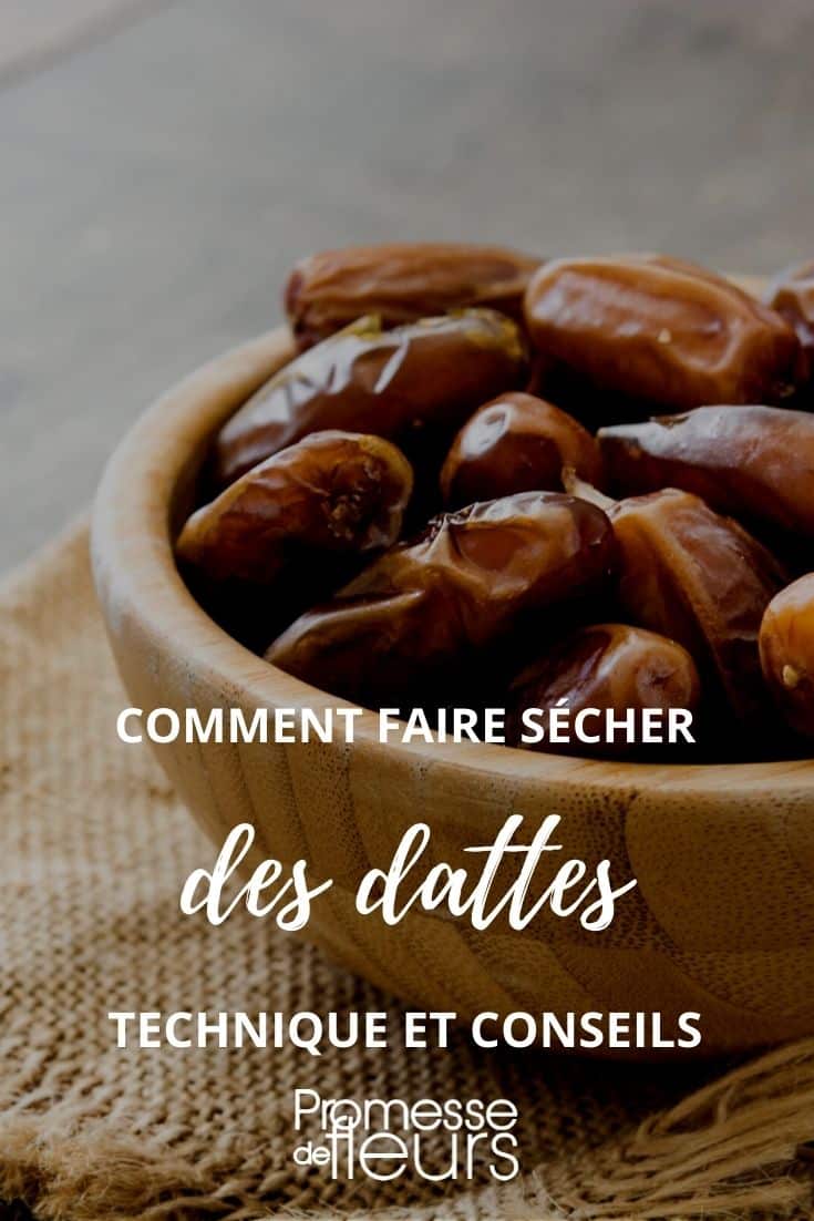 Comment conserver les dattes efficacement